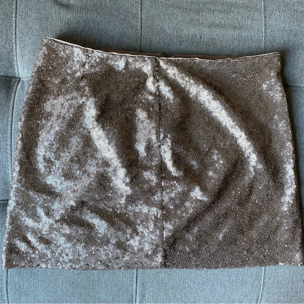 Champagne gold sequin GAP skirt - Picture 5 of 6